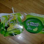 lime pennants-20"-$10.00