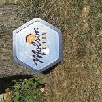 molson mirror-20x20-$45