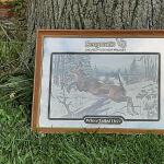 seagrams wisconsin white tail-27x20-$50