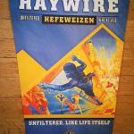 pyramid haywire tin-17x12-$15